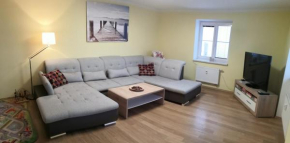 Apartment Lipno Šumava pro 8 hostů